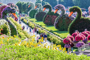 Miracle Garden Dubai Tickets 3