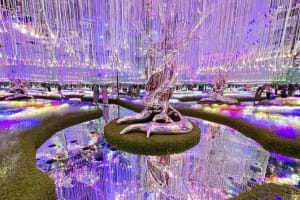 AYA Universe Dubai 3