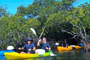 Noosa Hidden Waterways & Wildlife Kayak Tour (Self-guided) 3