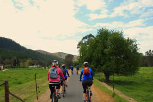 Murray to Mountains Rail Trail – Ride at Your Own Pace 3