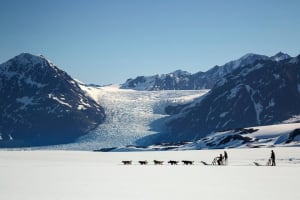 Dogsled Helicopter Tour with Glacier Landing – Anchorage 4