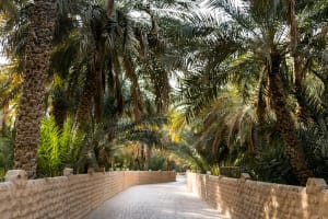 Al Ain City Tour 4