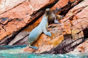 7 Day Tour Lima to Cusco 4