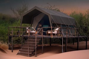 Overnight Desert Safari 3