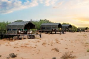 Overnight Desert Safari 4