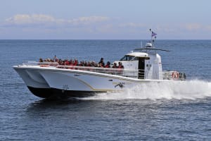 Open Boat Day Tour 4