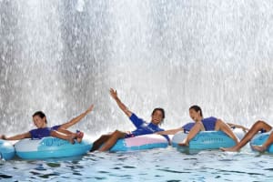 Combo: Dubai Aquarium & Wild Wadi 3