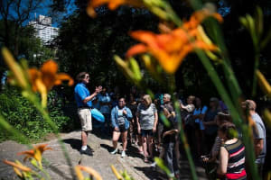 New York City Full-Day Guided Tour 3