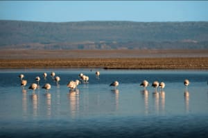 Aventura de 3 Días en San Pedro de Atacama 4