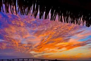 Sunset Tiki Cruise, Ocean City NJ 3