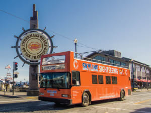 2 Day Hop-On Hop-Off & Night Tour - image 3