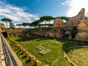 Private Rome Day Tour with Vatican, Colosseum & City Walk - image 3