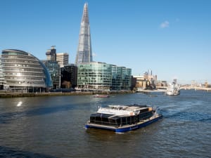Best of London: Tower of London, River Cruise & History Walk - image 4