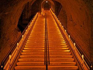 Champagne Day Tour From Reims : Veuve Clicquot (shared) - image 3
