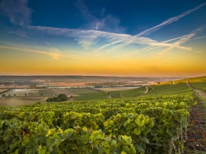 Reims & Champagne full day trip from Epernay (private) - image 3