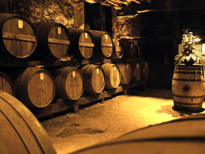 Dimly lit Cognac cellar lined with oak barrels stacked along stone walls