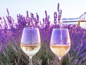 Saint-Tropez Cruise Excursion to Provence Wine Region - image 4