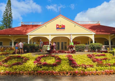 Ultimate Circle Island Tours LLC image 1