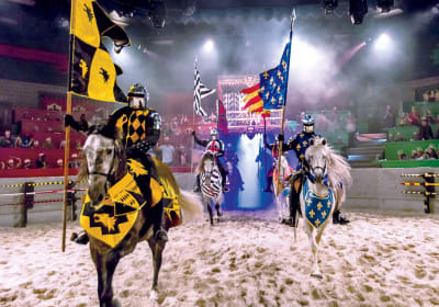 Medieval Times Dinner & Tournament image 1