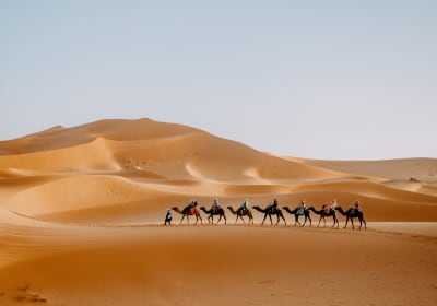 Marrakesh Sahara Tours image 1