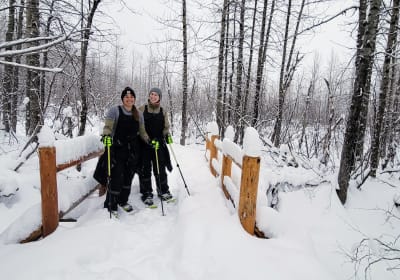Guided Snowshoeing Adventure from Seward, Alaska 2