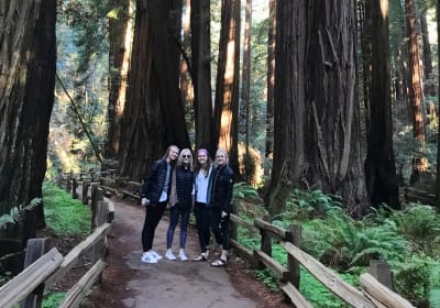 Muir Woods, Golden Gate Bridge & Sausalito Private Jeep Tour 2