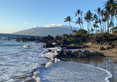 Halfway To Hana Private Luxury SUV Tour 2