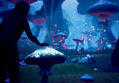 Waking Wonderland 2