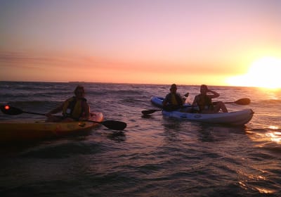 Guided Sunset Kayak Eco Tour of Pelican Bay 2