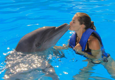 Dolphin Swim Experience in Cabo 2