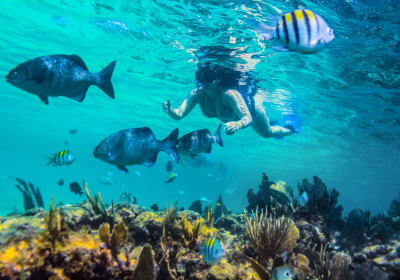  Riviera Maya Luxury Sailing 2