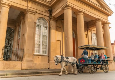 Private Daytime Horse-Drawn Carriage Tour of Charleston 2
