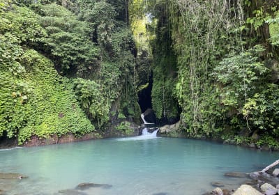 Enticing Turquoise Oasis & Bonus Waterfall Private Tour 2