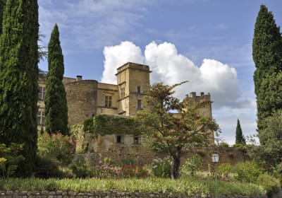 Cruise Excursion from Marseille to Luberon Villages 2