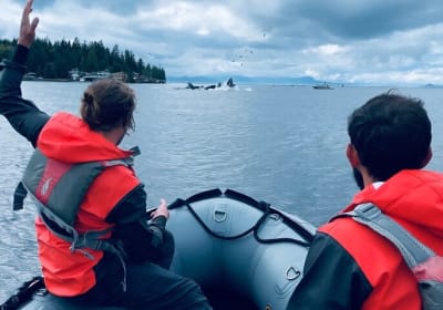 Ketchikan Zodiac Boat Adventure  2