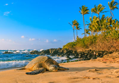 Private Oahu Ultimate Circle Island Tour 2