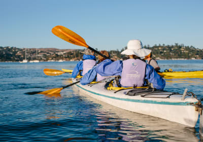 Scenic Alameda Kayak Tour - Beginners Welcome (Oakland, CA) 2
