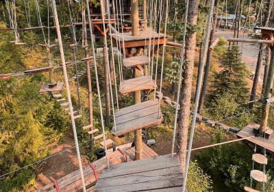 Glacier Aerial Adventure Park 2
