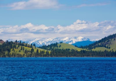 Guided Kayak Tour to Wild Horse Island 2