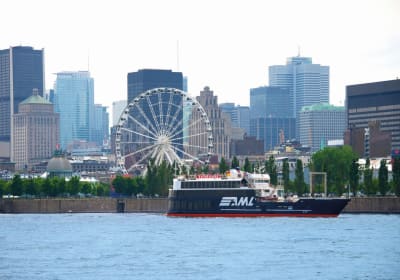 Montreal Premium Tour with Notre-Dame Basilica & Lookout 2