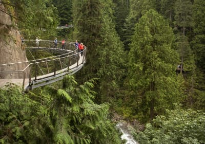 Vancouver PremiumTour with Capilano,Grouse Mountain & Lunch  2