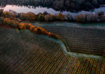 Private Vinho Verde Tour 2