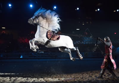 Medieval Times Scottsdale Dinner Theater 2