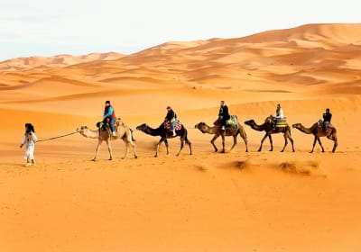 Tour di 3 giorni Marrakech a Fes : Tour Marocco 2