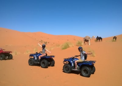 Tours from Marrakech 2