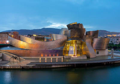 Guggenheim Museum Bilbao: Entry Tickets 2