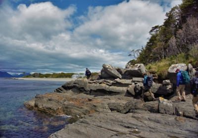 Coastal Fjords & Lighthouses Hiking Tour in Punta Arenas 2