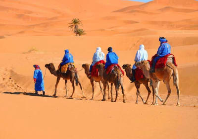 4 days desert tour from Marrakech to fes 2