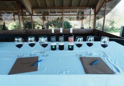 Faça o seu próprio vinho na Viña Emiliana! 2