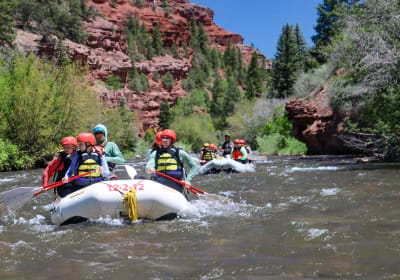 Telluride Morning Half Day Rafting Trip - San Miguel River 2